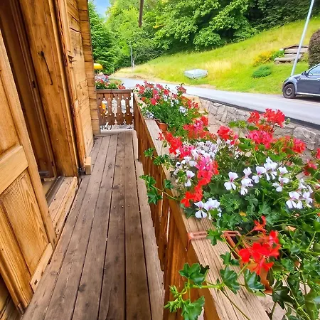 Charming In With Terrace, 40 M²